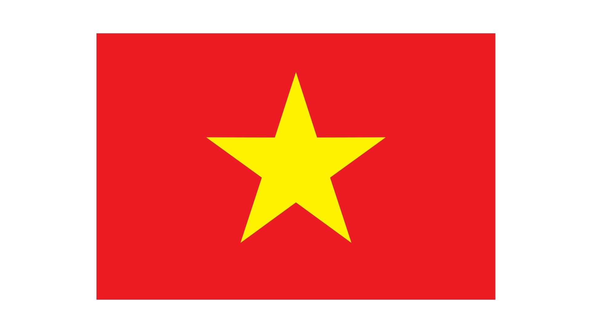 Vietnamca Tercüme Hizmetleri
