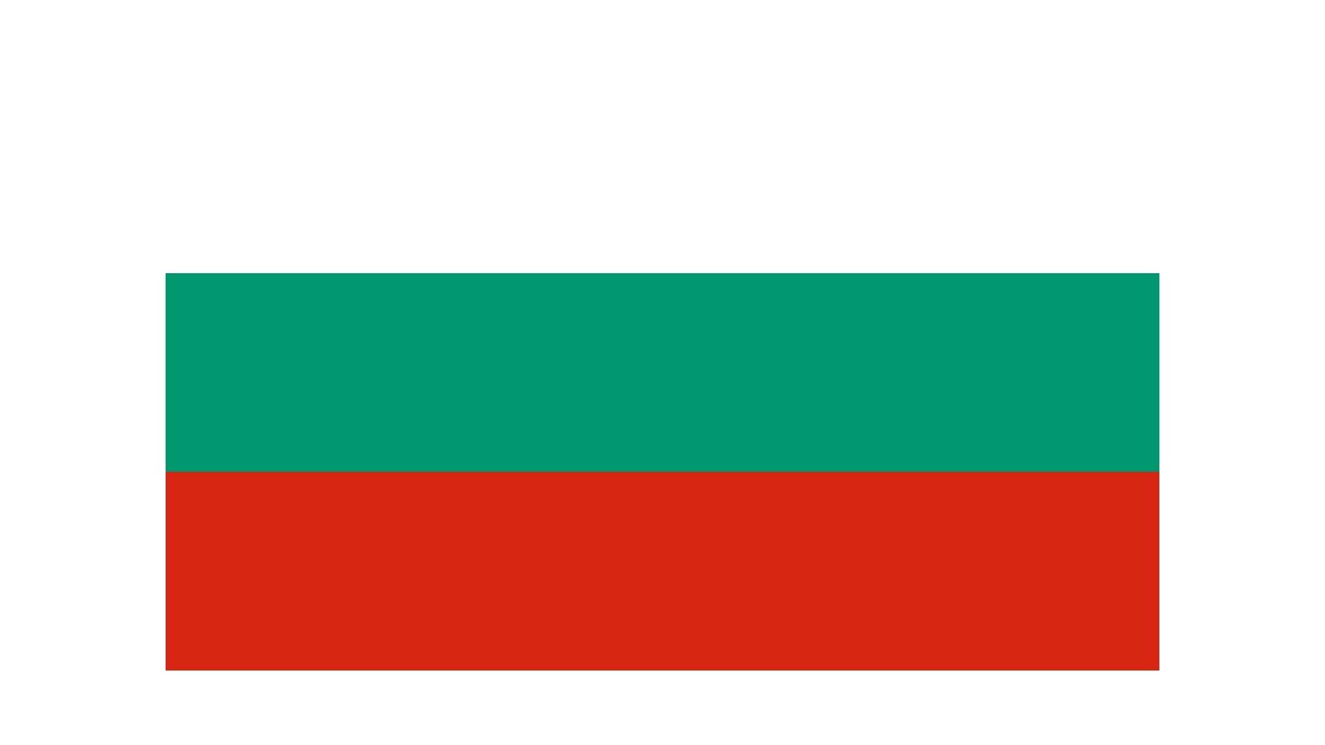 Bulgarca Tercüme